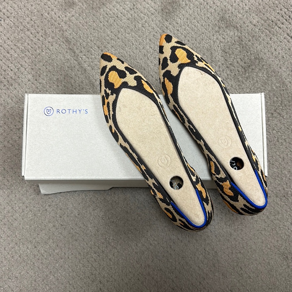 Rothy’s Pointed Toe Ballet Flat